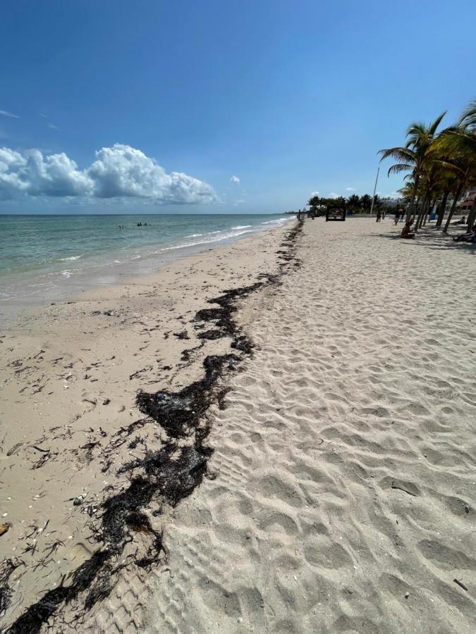 Itze Hostel Boutique - Progreso Progreso  Bagian luar foto